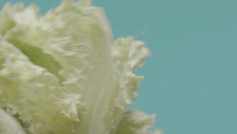 fresh lettuce splash