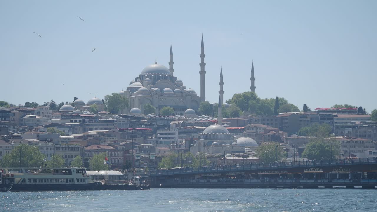 Istanbul Cityscape with Suleymaniye Mosque