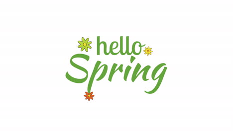 hola primavera con flores de colores en degradado blanco