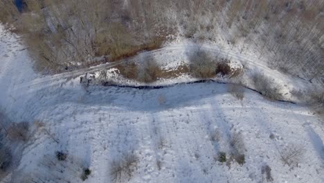 Frozen-Water-Canals-In-The-Forest-In-Winter