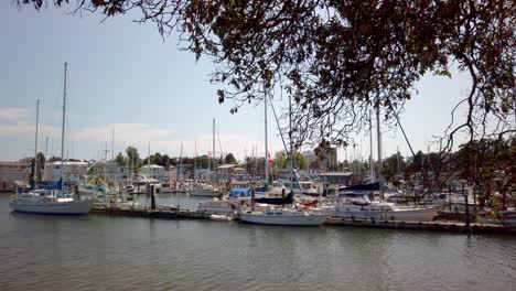 boats floating on the water in a canadian harbor during summer.
