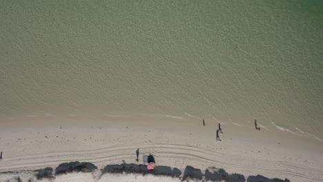 Bodyboarder,-Die-Vom-Sandstrand-In-Das-Wintermeer-Eintreten,-Aus-Der-Vogelperspektive,-Kopierraum