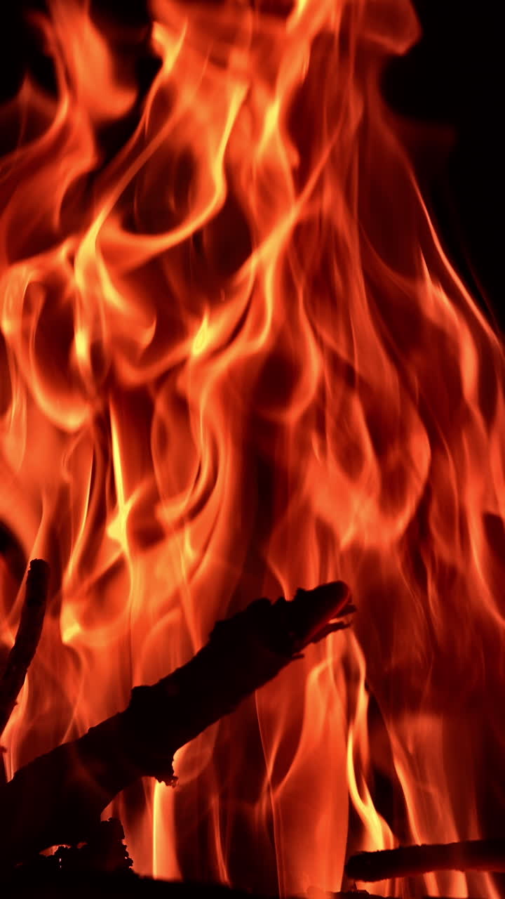 Branches of wood burning in the big campfire. Beautiful view of fire flames rising up. Black backdrop. Vertical video