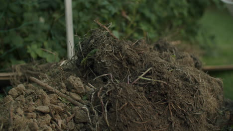 handheld shot of female hands wearing gloves emptying a white bucket on a dirt pile