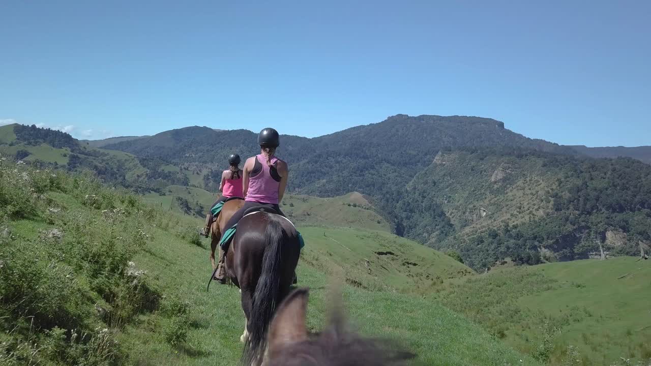 Horse trekking in the beautiful green, lush landscape of New Zealand - wide rolling