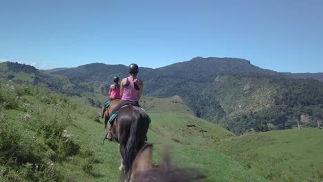 horse trekking in the beautiful green, lush landscape of new zealand - wide rolling