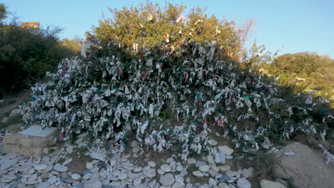 a dense bush covered with numerous tied pieces of cloth and ribbons, likely representing a wishing tree or similar cultural practice, surrounded by stones