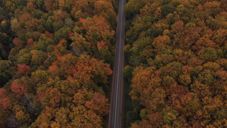 establishing shot of a forest road surrounded by colorful trees with cars driving by in fall season, drone flying backwards