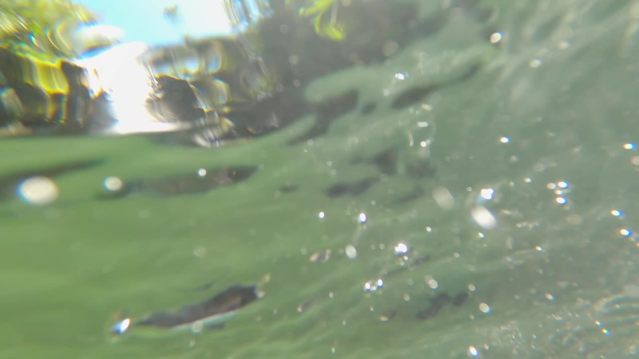4k Underwater river footage facing the sky. Location: Puerto Rico