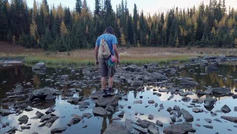 hiker balancing on pond rocks looking around kananaskis alberta canada