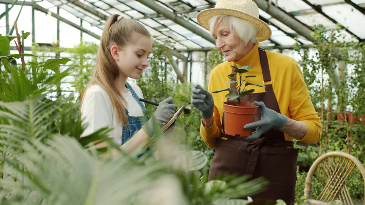 할머니 와 손녀 가 정원 을 가꾸고 있다