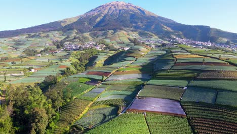 Vista-Aérea-De-La-Plantación-De-Hortalizas-En-La-Ladera-De-La-Montaña