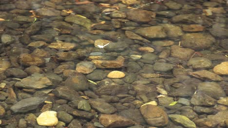 subtle changes in light over riverbed stones