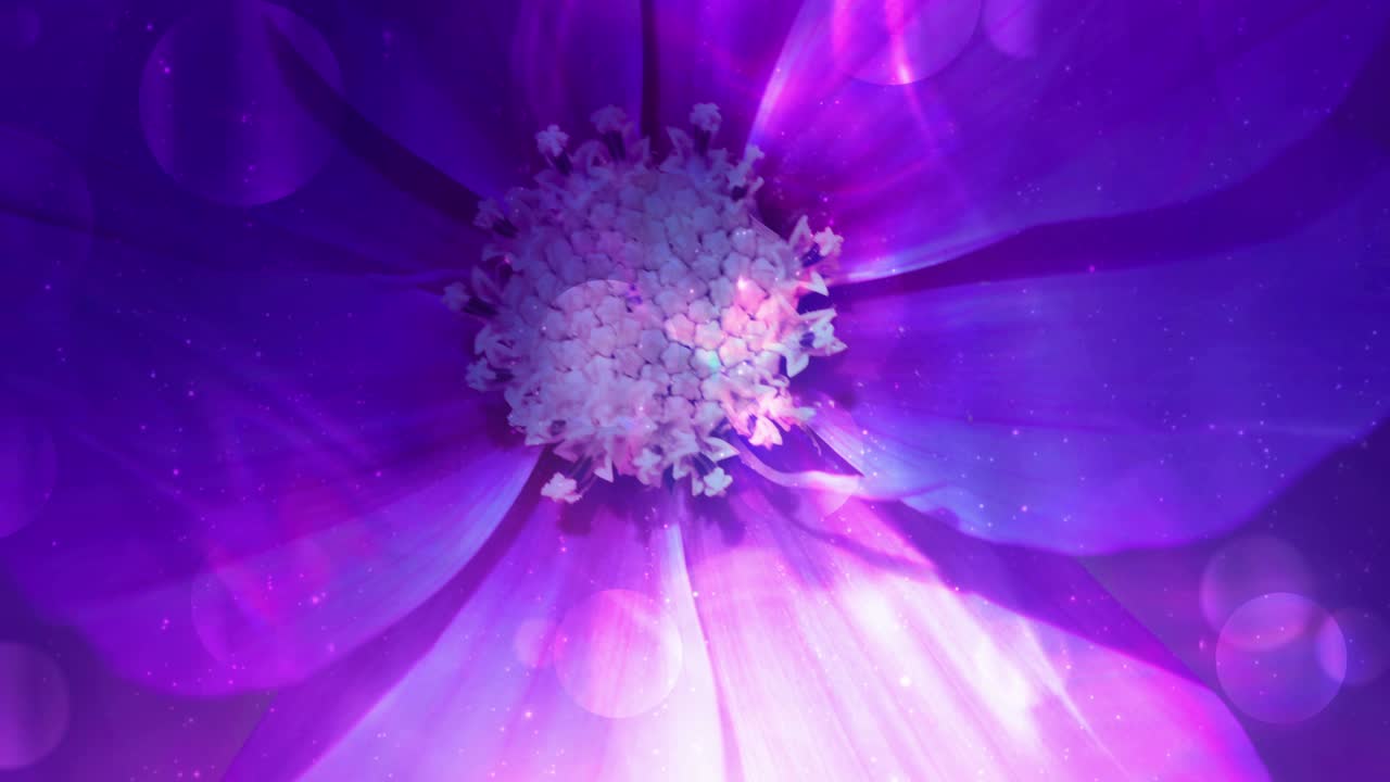 diseño floral brillante y colorido