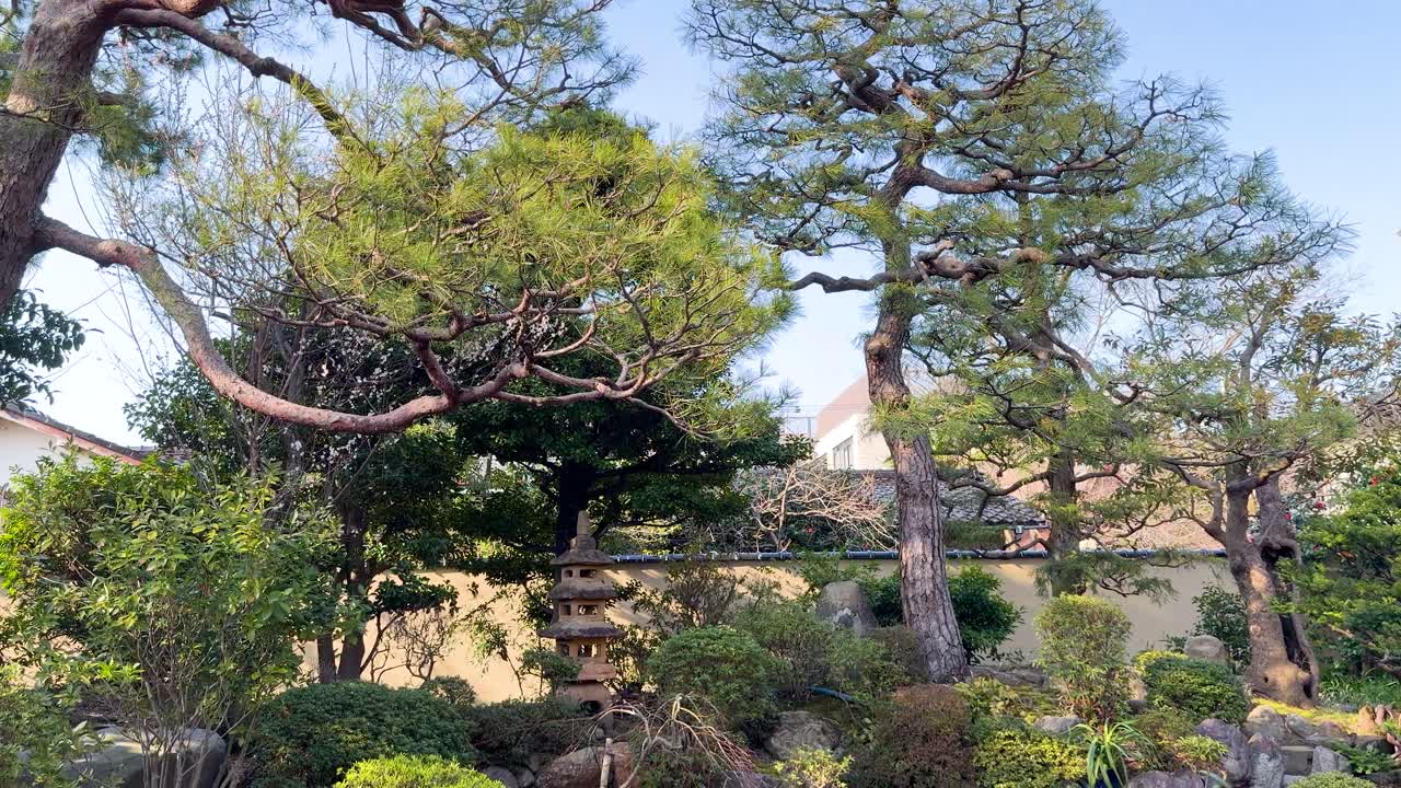 Un lento movimento verso l'alto rivela pini curati, lanterne di pietra e rocce muschiose nel Giardino Kenrokuen.
