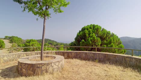 Drone-Avanzando-En-El-Bosque