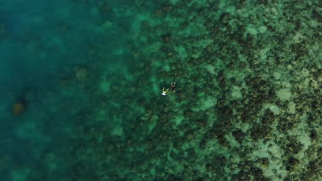 zoom in on a couple snorkeling near crystal bay beach in koh samui, thailand, with a drone