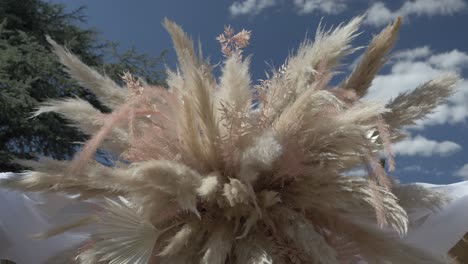 disparo lento revelador de un altar de bodas con decoraciones de hierba de pampas