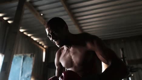 boxer wearing boxing gloves flexing in the gym