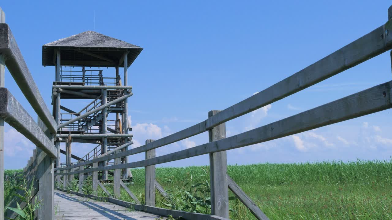 vista del camino del puente peatonal y la torre de observación de aves en el lago liepaja en un día soleado de verano con nubes escénicas, tiro amplio de ángulo bajo