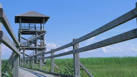 View-of-footbridge-path-and-birdwatching-tower-at-lake-Liepaja-in-sunny-summer-day-with-scenic-clouds,-low-angle-wide-shot