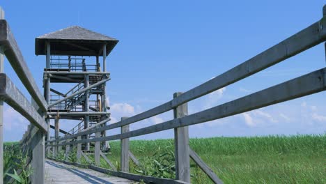 view of footbridge path and birdwatching tower at lake liepaja in sunny summer day with scenic clouds, low angle wide shot