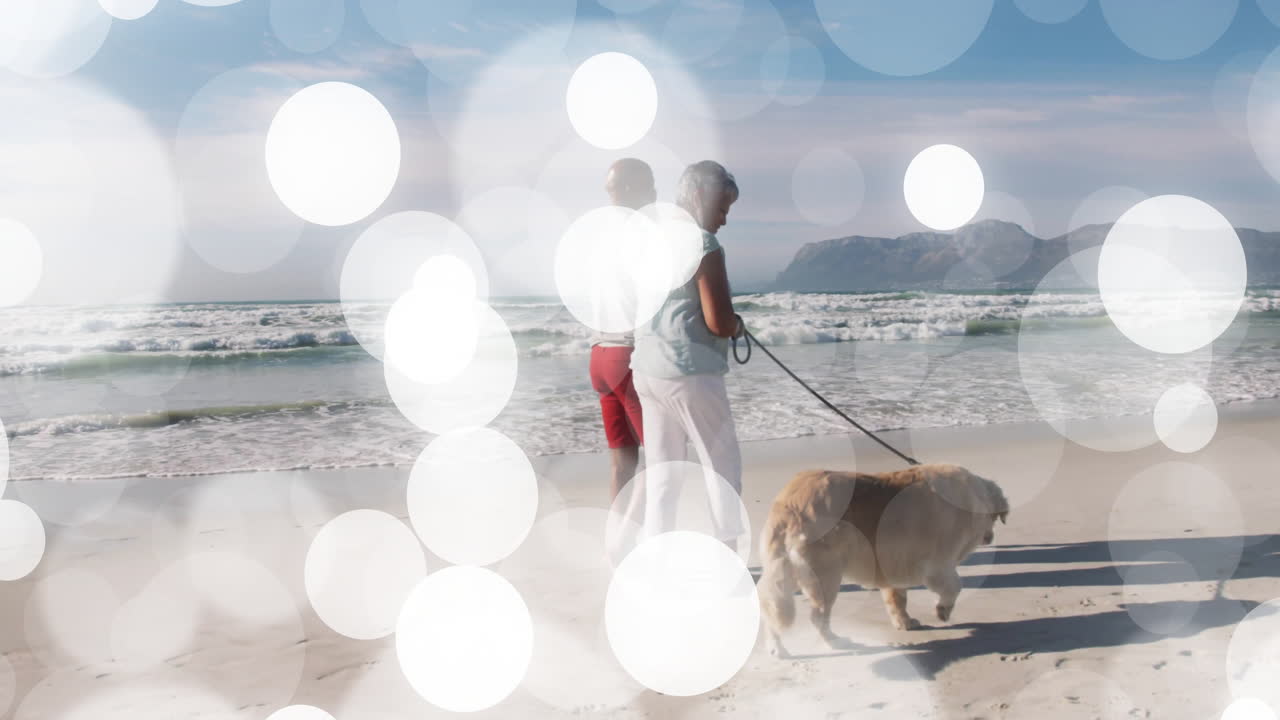 Walking on beach, elderly couple with dog enjoying animation of bokeh lights