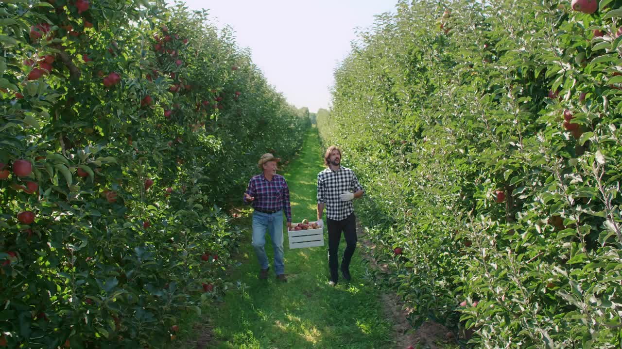 Two farmers talking about apple business