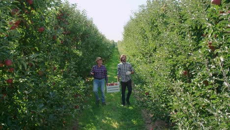 Dos-Agricultores-Hablando-Sobre-El-Negocio-De-Las-Manzanas