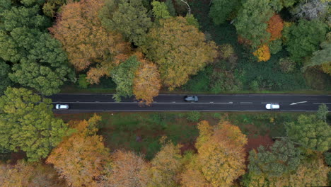 Un-Camino-Rural-Que-Atraviesa-Bosques-Otoñales-Visto-Desde-El-Aire,-Worcestershire,-Inglaterra