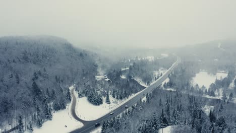 foggy winter landscape - drone flying 4k - mountains - trees, rivers, snowy - cinematic trees