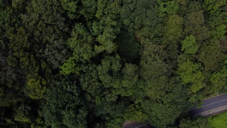 Toma-Aérea-De-Arriba-Hacia-Abajo-De-Una-Colina-Boscosa-Y-Una-Carretera-Que-Atraviesa