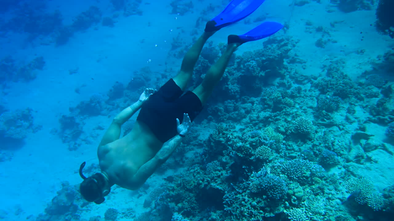 Diver swimming and exploring in the red sea