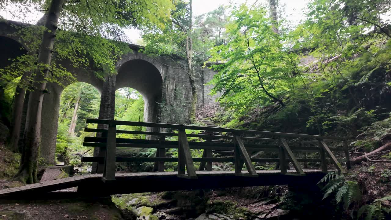 Wooden bridge crossing a stream under Groudle Glen Viaduct in a lush green woodland, Isle of Man