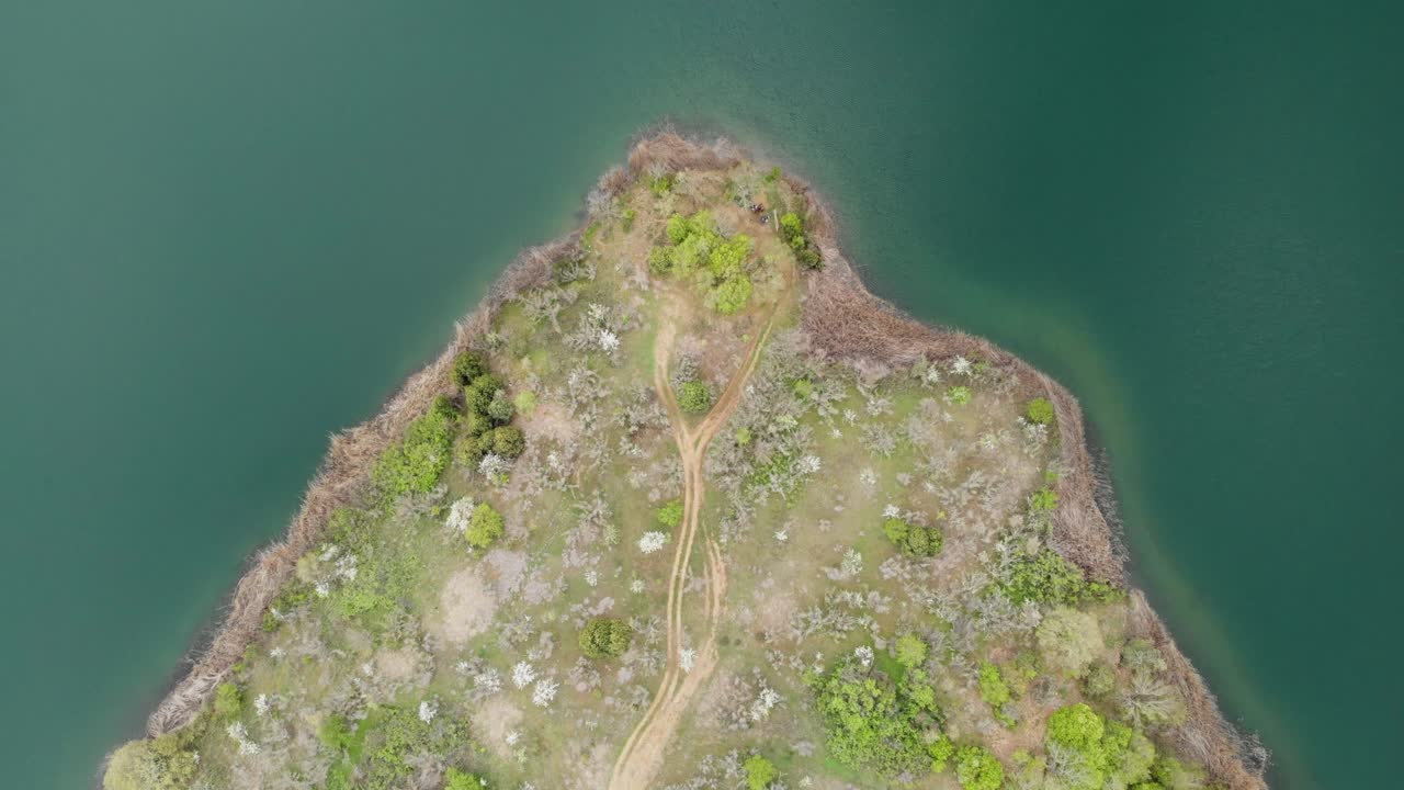 video de drones aéreos mirando hacia abajo en una capa con arbustos y árboles bajos y un camino de tierra de montaña en medio del marco, día soleado de verano