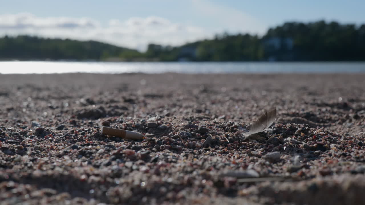 새 털을 고 있는 부드러운 바람과 함께 모래 위에 버려진 담배 줄기를 특징으로 하는 낮은 각도 해변 풍경