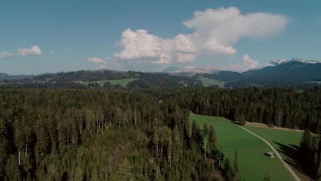 aerial of lakes, forests and mountains in rural switzerland