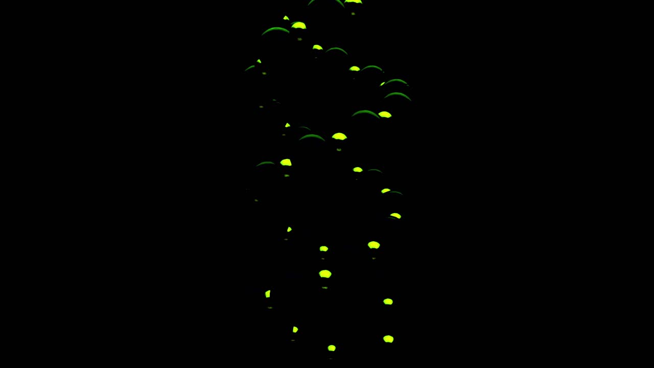 어 속에서 반이는 초록색 불빛