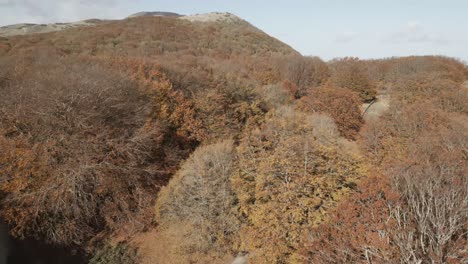 A-drone-footage-over-the-beatiful-beech-forest-of-Canfaito-with-autumn-colors