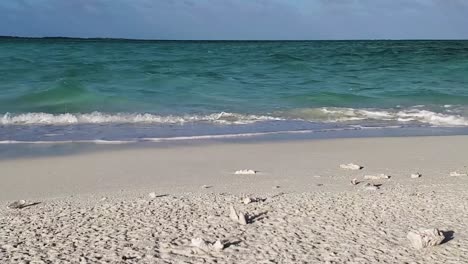 Las-Olas-Rompen-Contra-La-Playa-De-La-Costa,-La-Espuma-En-El-Mar-Caribe,-El-Prístino-Archipiélago-De-Los-Roques