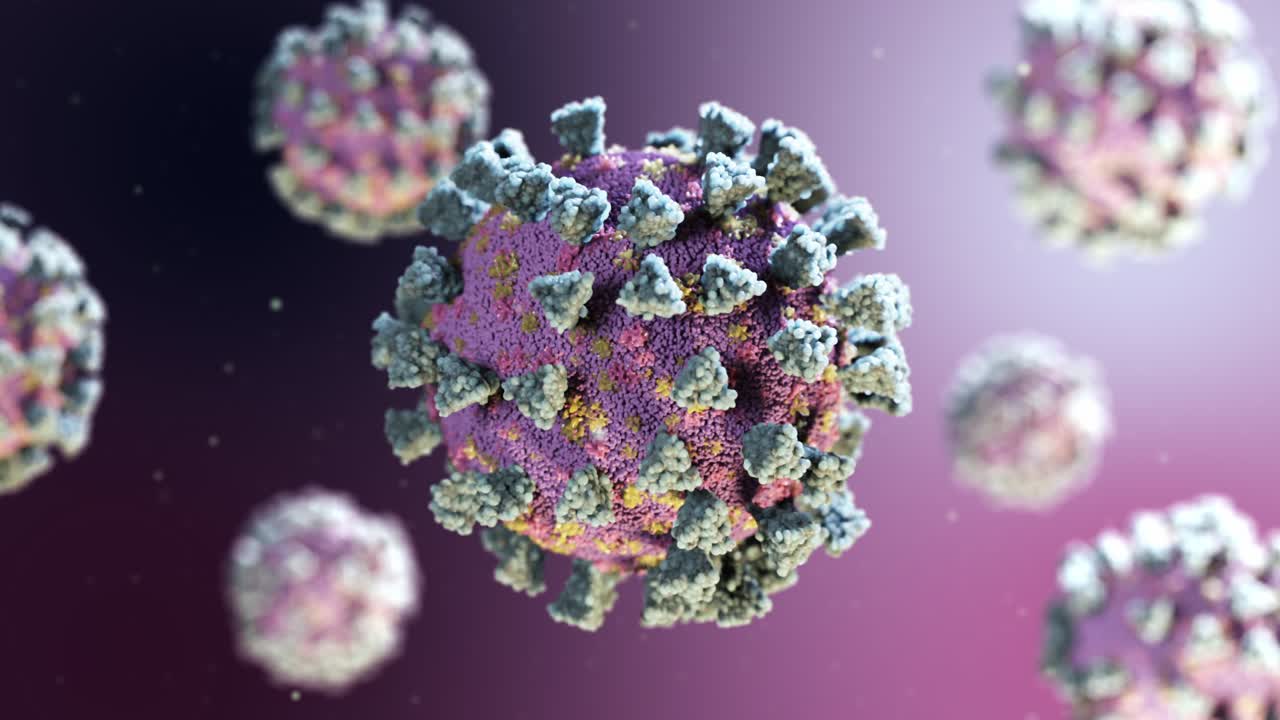 estructura del coronavirus