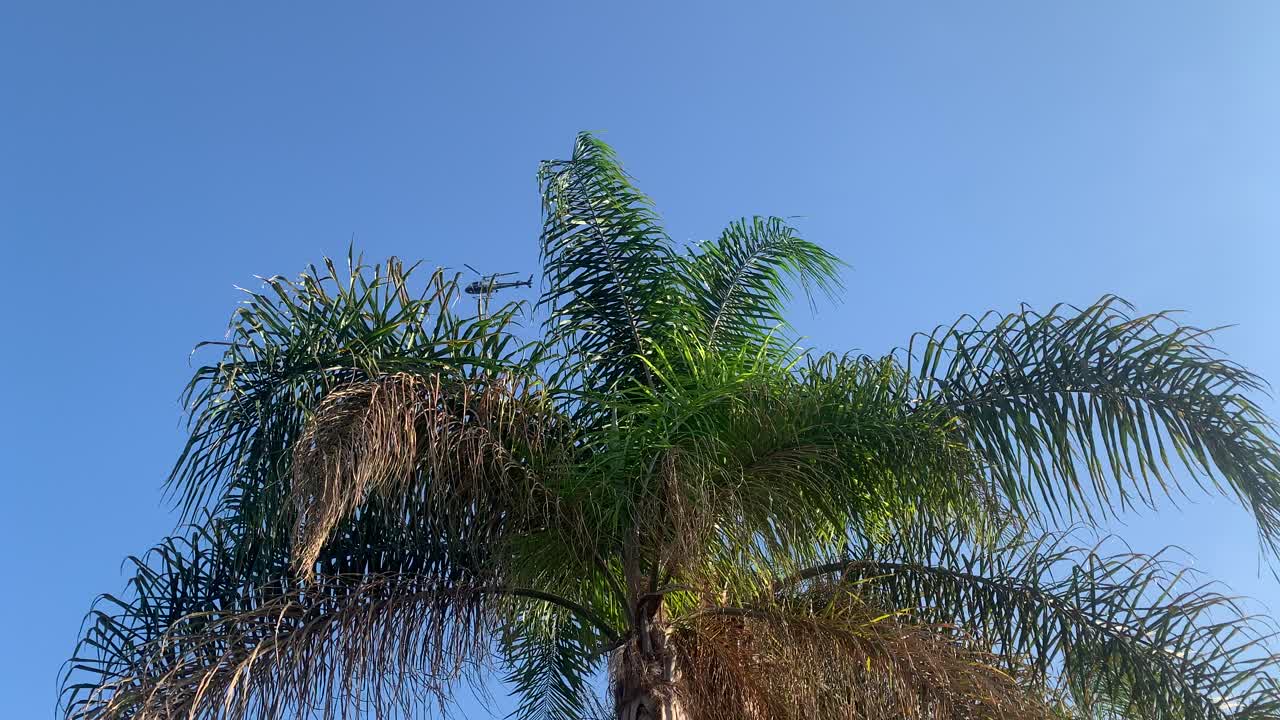 helicóptero de la policía dando vueltas sobre el perímetro