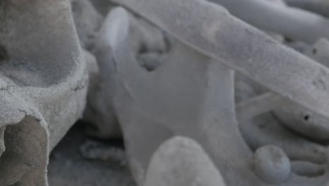 panning shot over human bones and skull detail