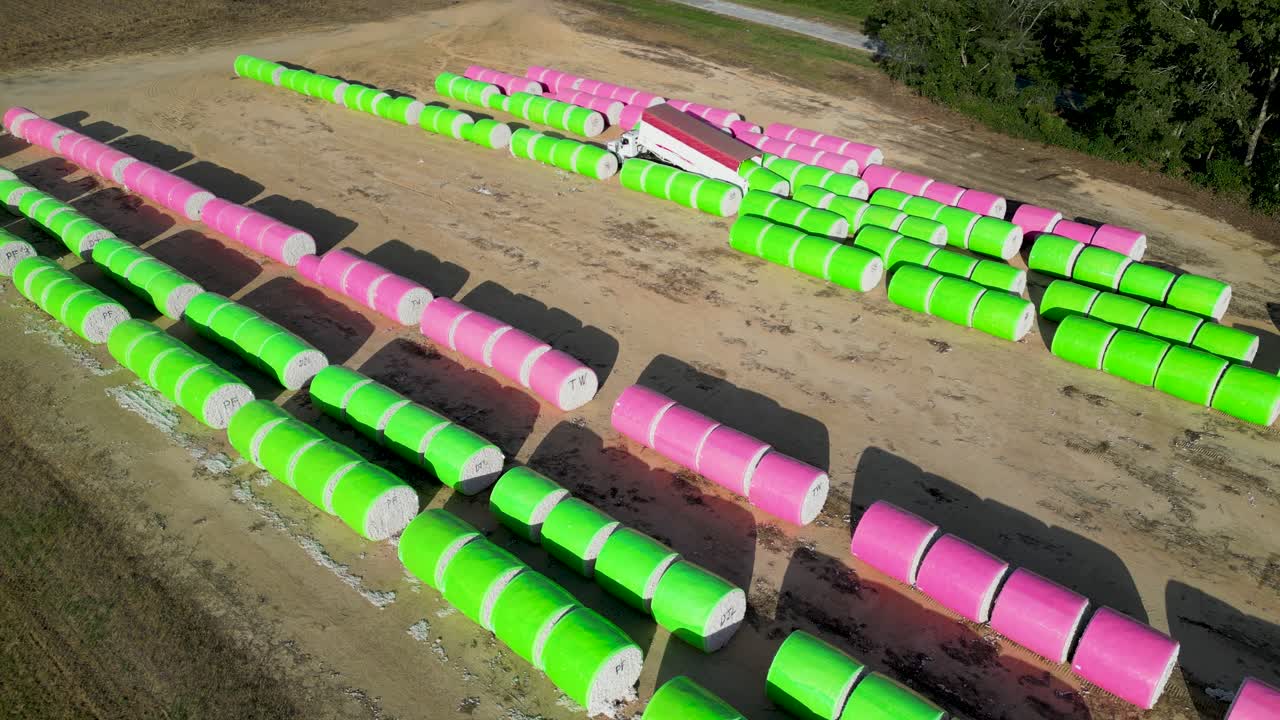 Alabama, Henry County, Headland yakınlarındaki tarım arazilerinde paralel sıralar halinde depolanan, hidrolik kaldırma platformlu modül kamyonuyla birlikte, plastik sarılı yayla pamuğu (Gossypium hirsutum) modülleri.