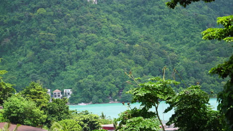 dense rainforest over mountains at koh phi phi islands in phuket, thailand