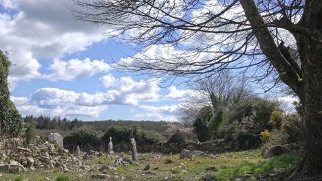 antiguo cementerio irlandés de la hambruna un lugar de paz y meditación en un día de primavera