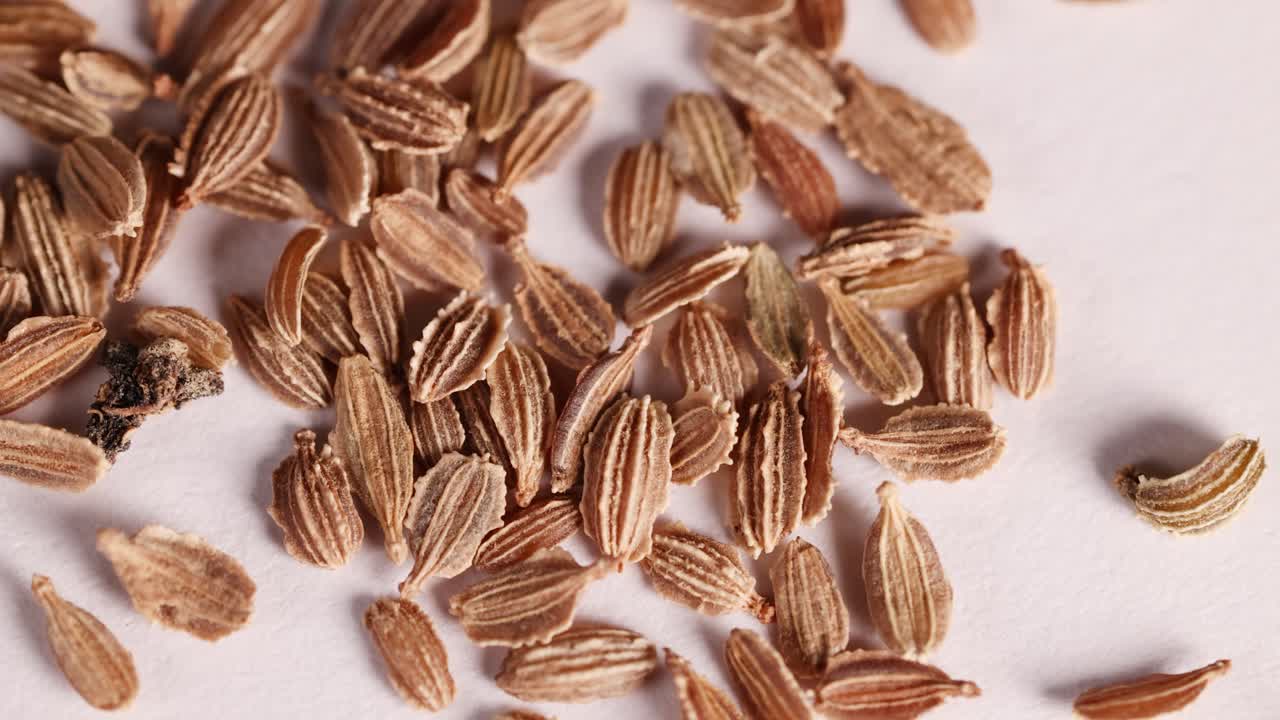 Close-up macro video of carrot seeds scattered on a white surface, highlighting texture and detail under bright lighting