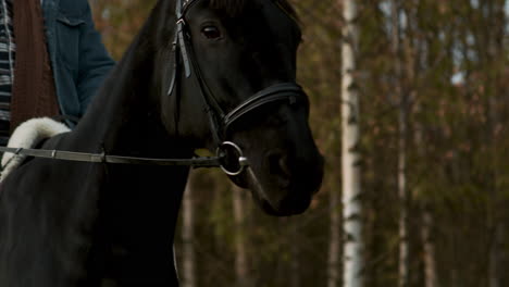 man horseriding at the farm