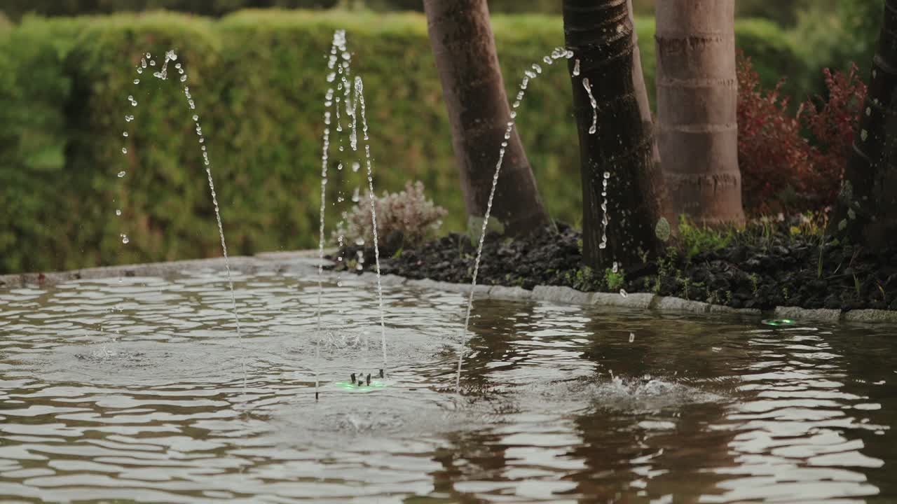 Tranquil garden fountain spraying water near tropical plants