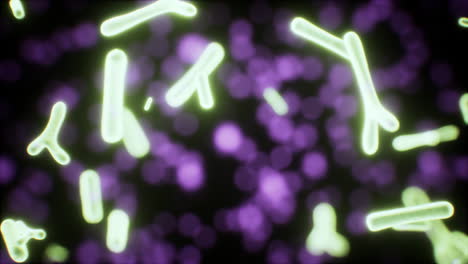 virus bajo la vista microscópica para la educación